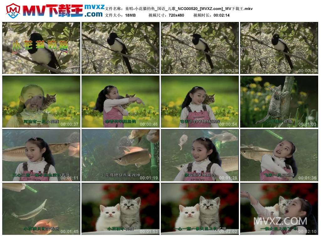 童唱-小花猫钓鱼_国语_儿歌_NCG00520
